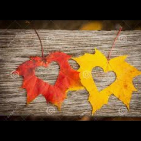 WELCOME TO LOVE, LAUREL CLOSET! - Picture 6 of 16